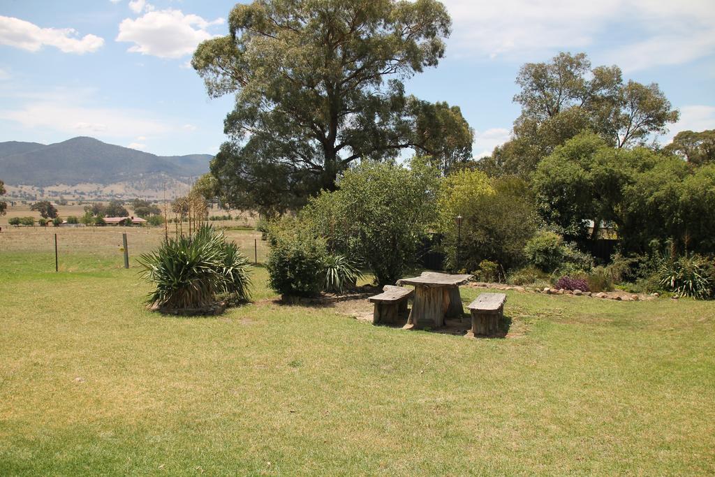 Mountain View Motel Corryong Kültér fotó