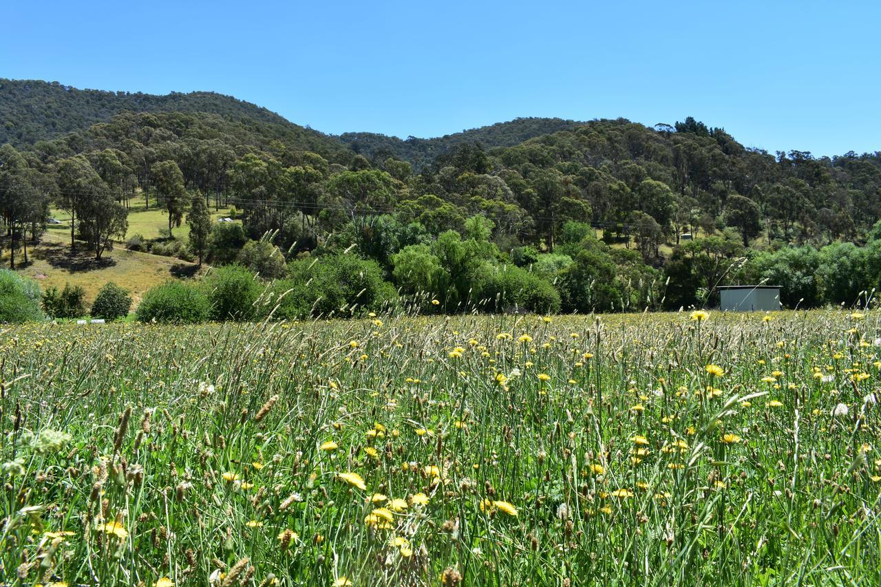 Mountain View Motel Corryong Kültér fotó